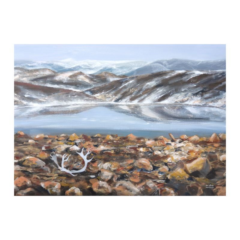 Poster Renhorn 50x70 cm